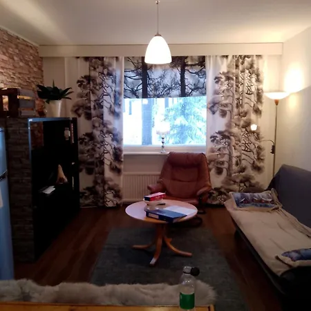 Art 4 公寓 罗瓦涅米